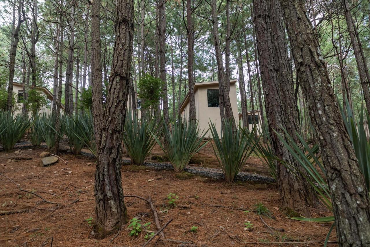 Lodge Rincon De Maria